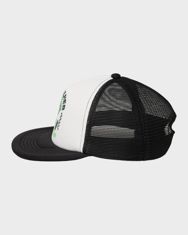 Paceandgrace.shopc749606cc0 3